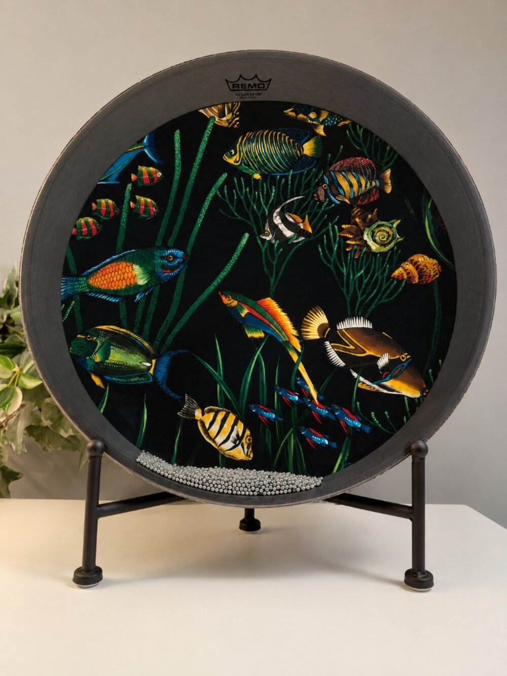 16" Remo Ocean Drum- Sounds of Water Tropical Relaxing